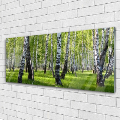 Glass Print Forest nature black white green