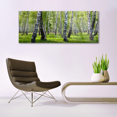 Glass Print Forest nature black white green