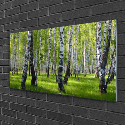 Glass Print Forest nature black white green