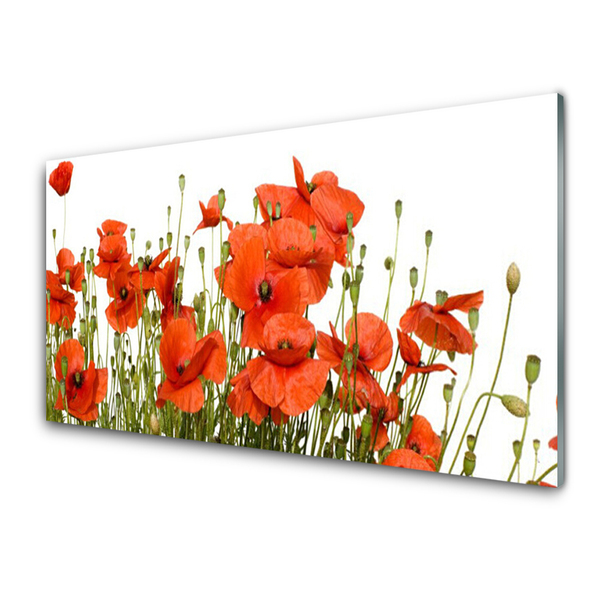 Glass Print Poppies floral red