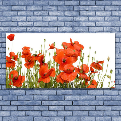 Glass Print Poppies floral red