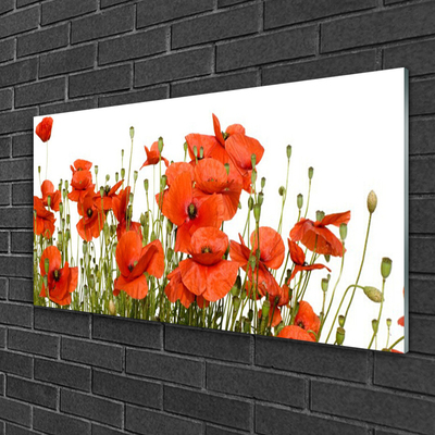 Glass Print Poppies floral red