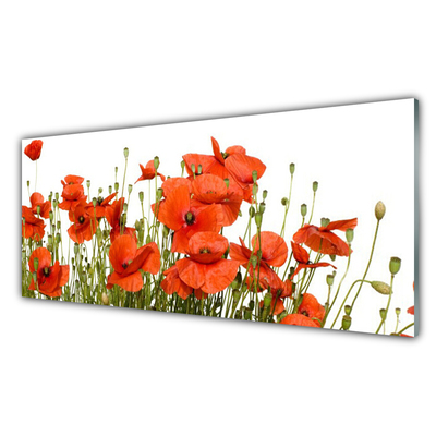 Glass Print Poppies floral red