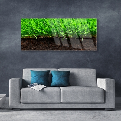 Glass Print Grass nature green