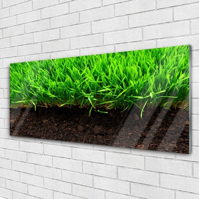 Glass Print Grass nature green