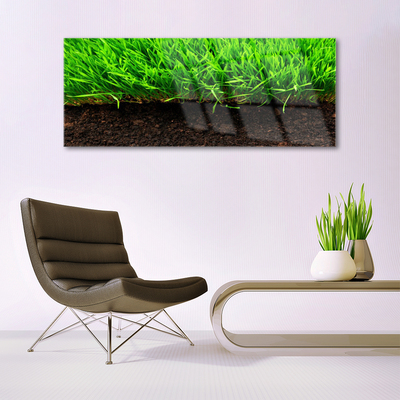 Glass Print Grass nature green