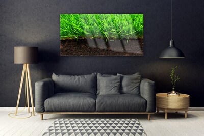 Glass Print Grass nature green