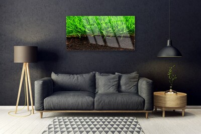 Glass Print Grass nature green