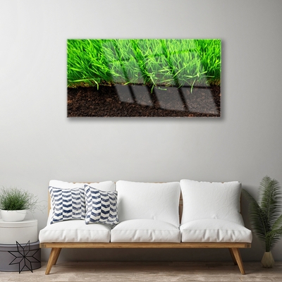 Glass Print Grass nature green