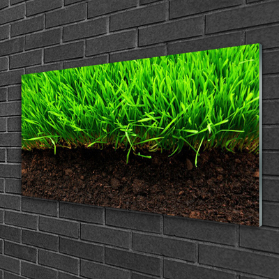 Glass Print Grass nature green