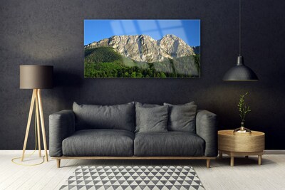 Glass Print Mountain forest nature grey green