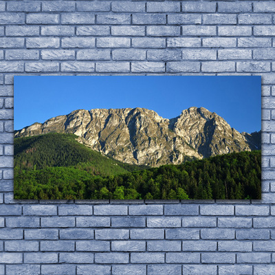 Glass Print Mountain forest nature grey green