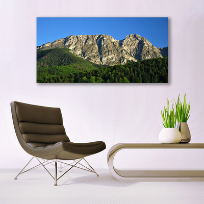 Glass Print Mountain forest nature grey green