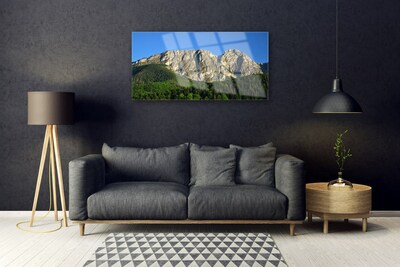 Glass Print Mountain forest nature grey green