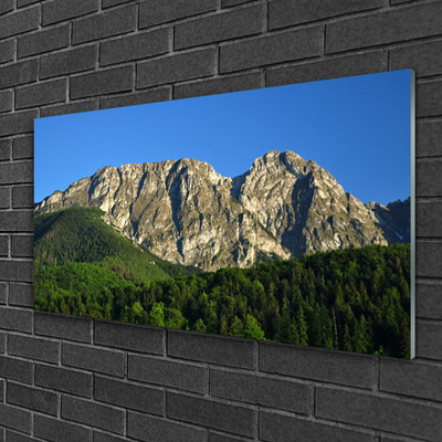 Glass Print Mountain forest nature grey green