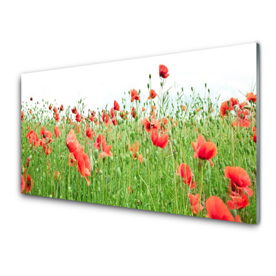 Glass Print Poppies nature red green