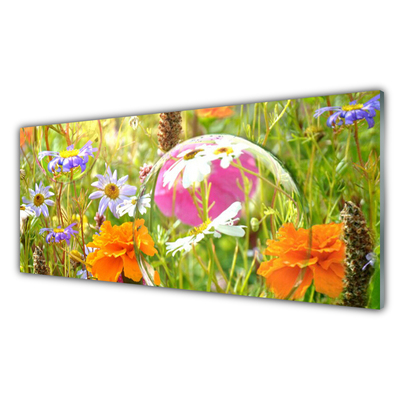 Glass Print Flowers nature multi