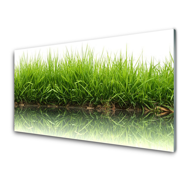 Glass Print Grass nature green