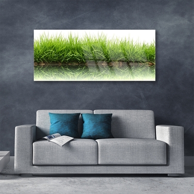 Glass Print Grass nature green