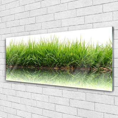 Glass Print Grass nature green