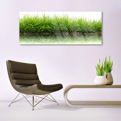 Glass Print Grass nature green