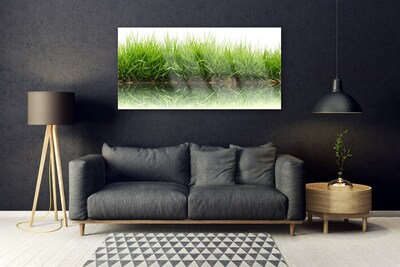 Glass Print Grass nature green