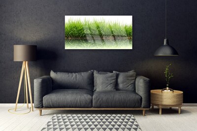 Glass Print Grass nature green