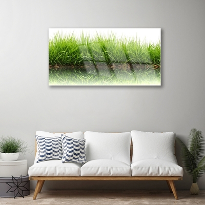 Glass Print Grass nature green