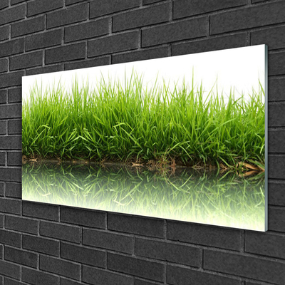 Glass Print Grass nature green