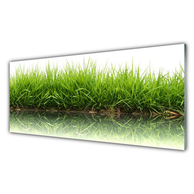 Glass Print Grass nature green