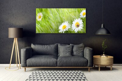 Glass Print Grass daisies nature white green