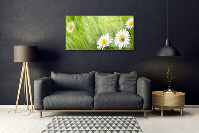 Glass Print Grass daisies nature white green