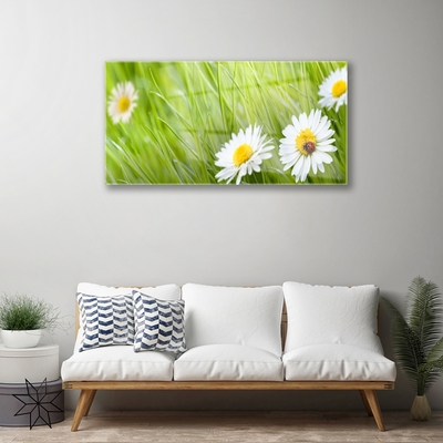 Glass Print Grass daisies nature white green