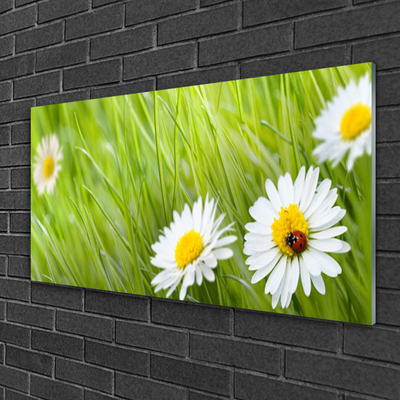 Glass Print Grass daisies nature white green