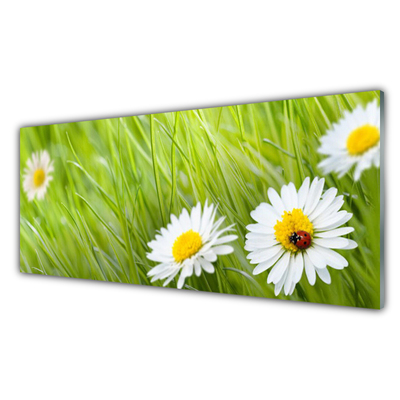 Glass Print Grass daisies nature white green