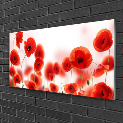 Glass Print Poppies floral red green