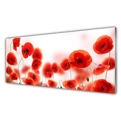 Glass Print Poppies floral red green