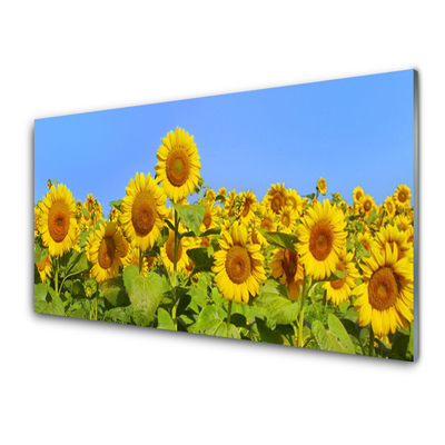 Glass Print Sunflowers floral yellow green