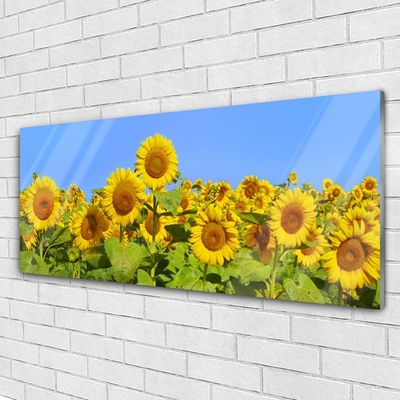 Glass Print Sunflowers floral yellow green