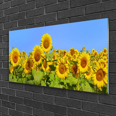 Glass Print Sunflowers floral yellow green