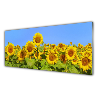 Glass Print Sunflowers floral yellow green