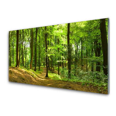 Glass Print Forest nature brown green