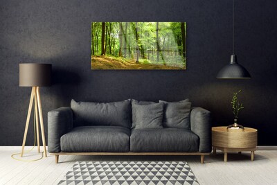 Glass Print Forest nature brown green