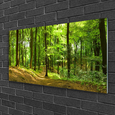 Glass Print Forest nature brown green