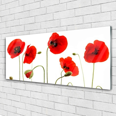Glass Print Poppies floral red black green