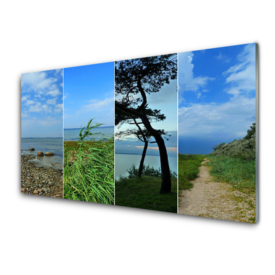 Glass Print Beach tree footpath landscape green brown black