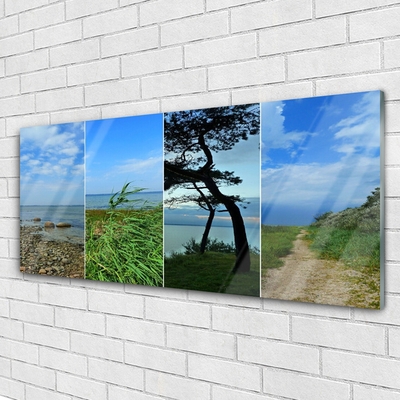 Glass Print Beach tree footpath landscape green brown black