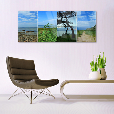 Glass Print Beach tree footpath landscape green brown black