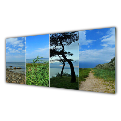 Glass Print Beach tree footpath landscape green brown black