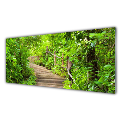 Glass Print Stairs nature brown green